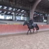 IMG_2030