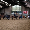 IMG_8211