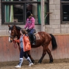 IMG_8890